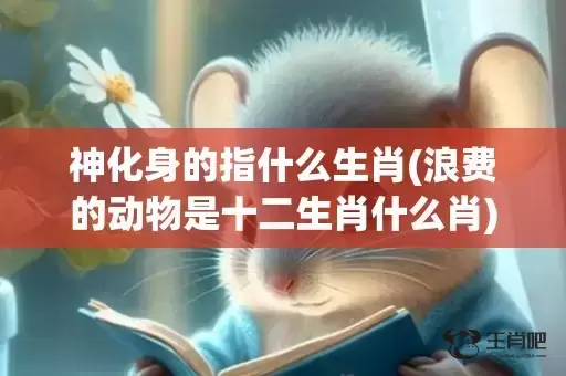 神化身的指什么生肖(浪费的动物是十二生肖什么肖)(化身修罗是指什么)