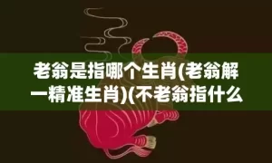 老翁是指哪个生肖(老翁解一精准生肖)(不老翁指什么生肖)