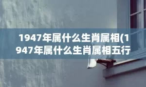 1947年属什么生肖属相(1947年属什么生肖属相五行)(1947年属什么生肖 今年多大了)