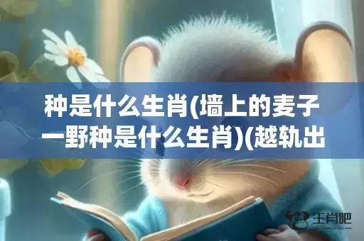 种是什么生肖(墙上的麦子一野种是什么生肖)(越轨出墙是什么生肖)