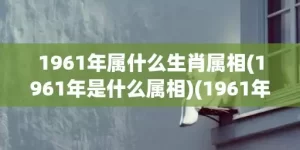 1961年属什么生肖属相(1961年是什么属相)(1961年属什么)