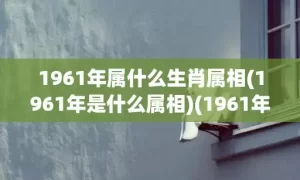 1961年属什么生肖属相(1961年是什么属相)(1961年属什么)