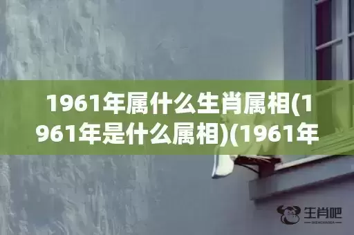 1961年属什么生肖属相(1961年是什么属相)(1961年属什么) 1961年属什么生肖属相(1961年是什么属相)(1961年属什么)