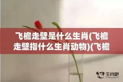 飞檐走壁是什么生肖(飞檐走壁指什么生肖动物)(飞檐走壁的动物是什么生肖)