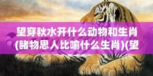 望穿秋水开什么动物和生肖(睹物思人比喻什么生肖)(望穿秋水形容什么动物)