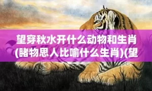 望穿秋水开什么动物和生肖(睹物思人比喻什么生肖)(望穿秋水形容什么动物)