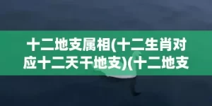 十二地支属相(十二生肖对应十二天干地支)(十二地支所属生肖及属相)