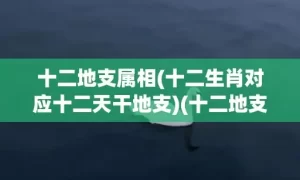 十二地支属相(十二生肖对应十二天干地支)(十二地支所属生肖及属相)