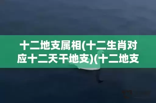 十二地支属相(十二生肖对应十二天干地支)(十二地支所属生肖及属相)