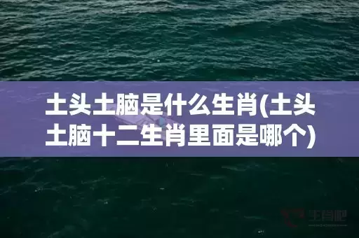 土头土脑是什么生肖(土头土脑十二生肖里面是哪个)(土头土脑猜是什么生肖)