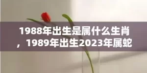 1988年出生是属什么生肖，1989年出生2023年属蛇