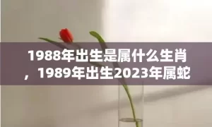 1988年出生是属什么生肖，1989年出生2023年属蛇