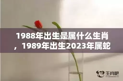 1988年出生是属什么生肖，1989年出生2023年属蛇