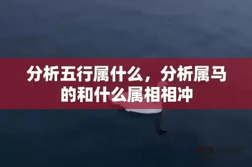 分析五行属什么，分析属马的和什么属相相冲