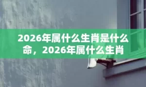 2026年属什么生肖是什么命，2026年属什么生肖