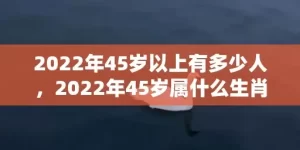 2022年45岁以上有多少人，2022年45岁属什么生肖