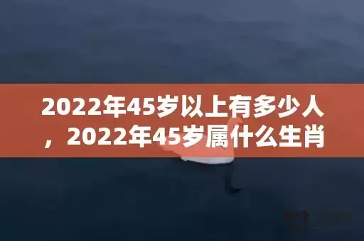 2022年45岁以上有多少人，2022年45岁属什么生肖