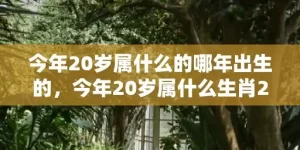 今年20岁属什么的哪年出生的，今年20岁属什么生肖2022