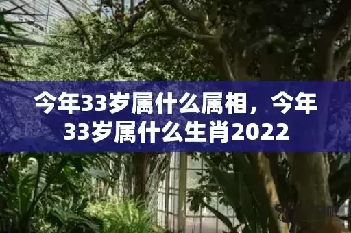 今年33岁属什么属相，今年33岁属什么生肖2022