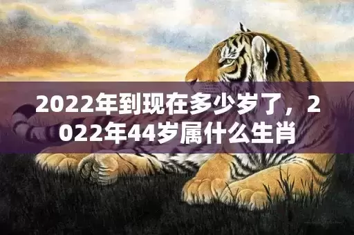 2022年到现在多少岁了，2022年44岁属什么生肖