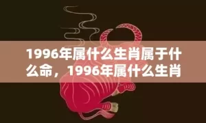 1996年属什么生肖属于什么命，1996年属什么生肖