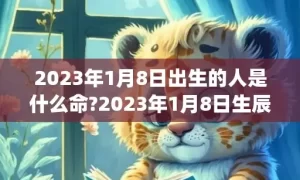 2023年1月8日出生的人是什么命?2023年1月8日生辰八字好吗(2023年1月8日属什么生肖)