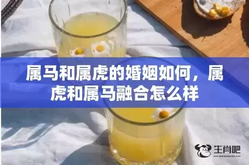 属马和属虎的婚姻如何，属虎和属马融合怎么样