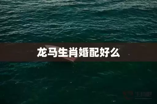 龙马生肖婚配好么 龙马生肖婚配好么