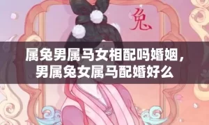 属兔男属马女相配吗婚姻，男属兔女属马配婚好么