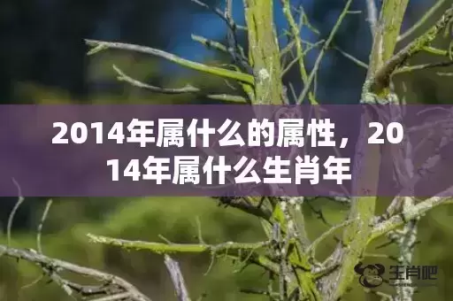 2014年属什么的属性，2014年属什么生肖年