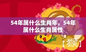 54年属什么生肖年，54年属什么生肖属性