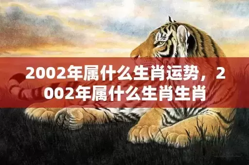 2002年属什么生肖运势，2002年属什么生肖生肖