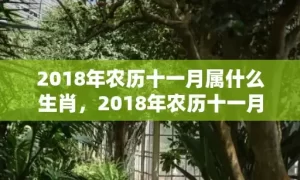 2018年农历十一月属什么生肖，2018年农历十一月二十九出生的女孩起名推荐