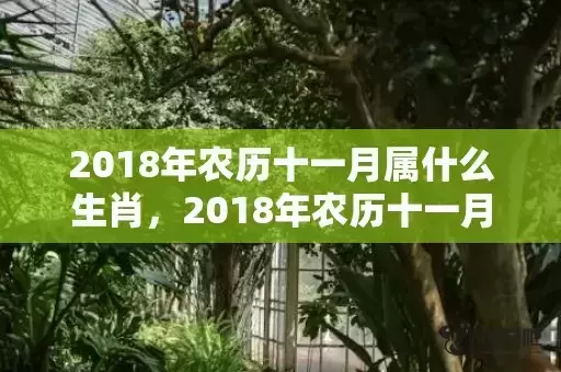 2018年农历十一月属什么生肖，2018年农历十一月二十九出生的女孩起名推荐