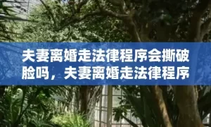 夫妻离婚走法律程序会撕破脸吗，夫妻离婚走法律程序怎么走流程？单方面离婚怎么离