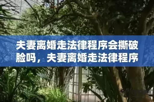 夫妻离婚走法律程序会撕破脸吗，夫妻离婚走法律程序怎么走流程？单方面离婚怎么离