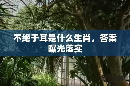 不绝于耳是什么生肖,答案曝光落实 不绝于耳是什么生肖,答案曝光落实