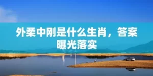 外柔中刚是什么生肖，答案曝光落实