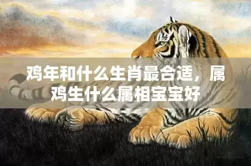 鸡年和什么生肖最合适，属鸡生什么属相宝宝好