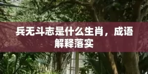 兵无斗志是什么生肖，成语解释落实