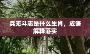 兵无斗志是什么生肖，成语解释落实