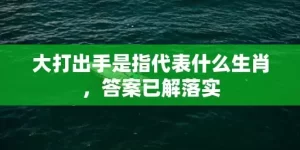 大打出手是指代表什么生肖，答案已解落实