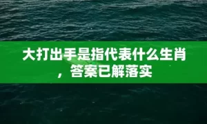 大打出手是指代表什么生肖，答案已解落实