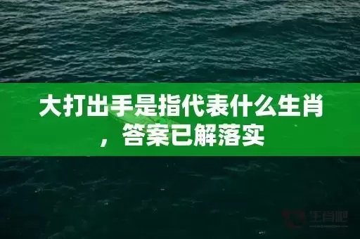 大打出手是指代表什么生肖，答案已解落实