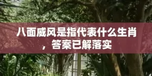 八面威风是指代表什么生肖，答案已解落实