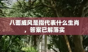 八面威风是指代表什么生肖，答案已解落实