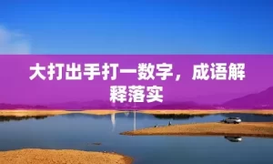 大打出手打一数字，成语解释落实