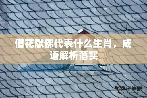 借花献佛代表什么生肖，成语解析落实