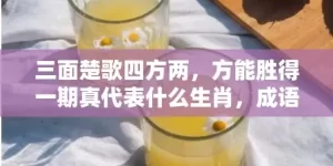 三面楚歌四方两，方能胜得一期真代表什么生肖，成语解析落实