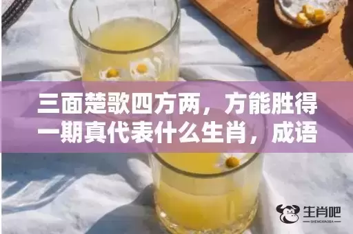 三面楚歌四方两，方能胜得一期真代表什么生肖，成语解析落实